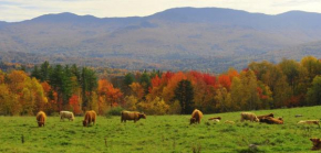 Гостиница Trapp Family Lodge  Стоу